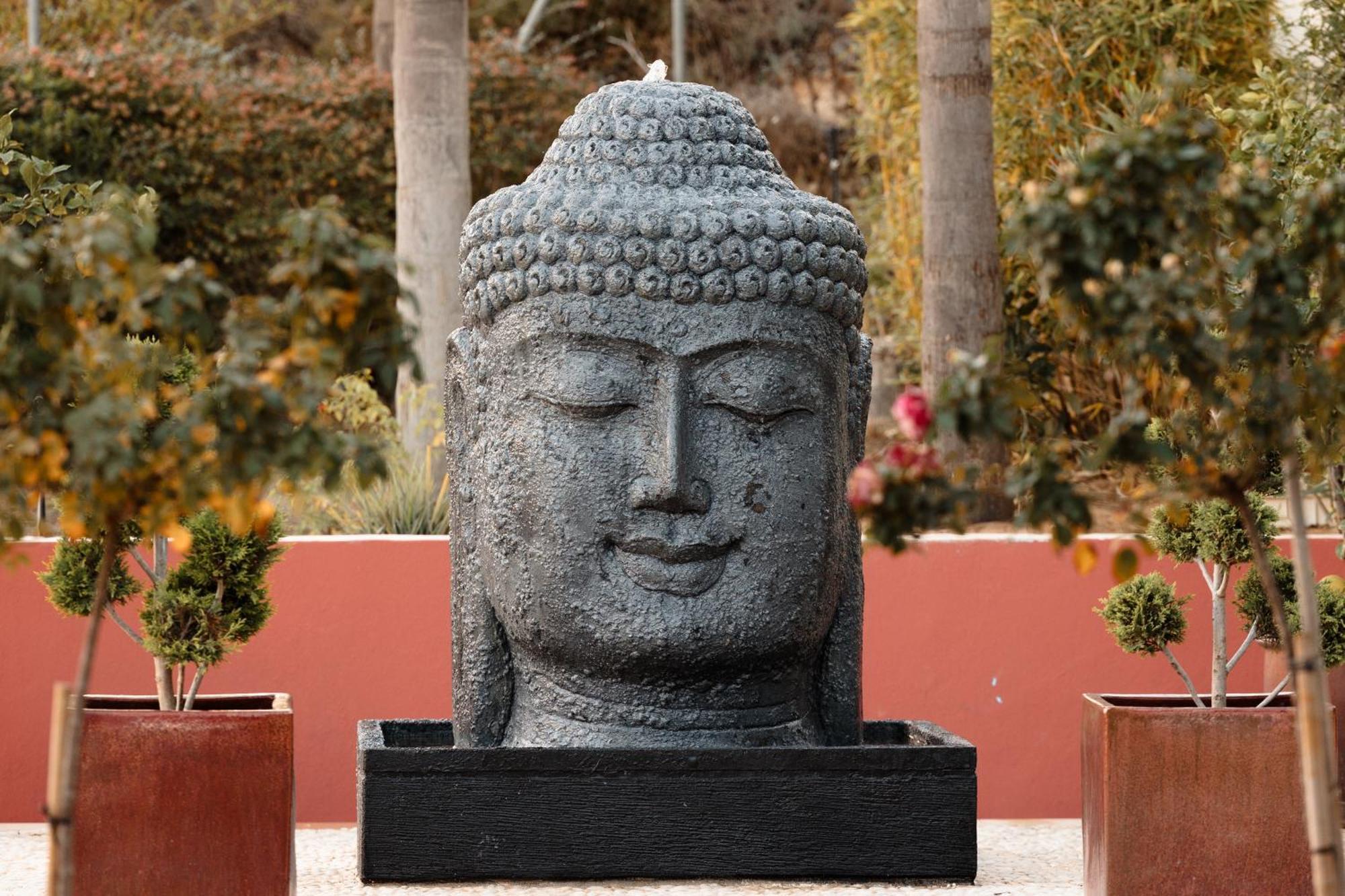 Shanti Som مونذا المظهر الخارجي الصورة